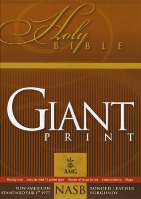 NASB Giant-Print Handy-Size Bible B/L Black - AMG